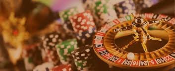 probo Sportsbook Action